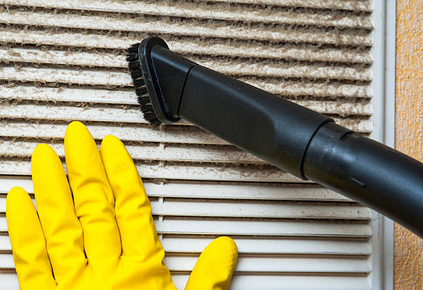 Best Duct Cleaning Specialists  in Rogers City, MI